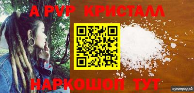 шишки Брянск