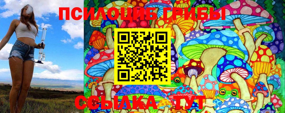 Тверь  Псилоцибиновые грибы Psilocybine cubensis  как найти закладки  Галлюциногенные грибы Psilocybine cubensis  Вход с VPN 